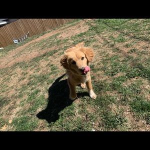 Meet your Posher, Natalie